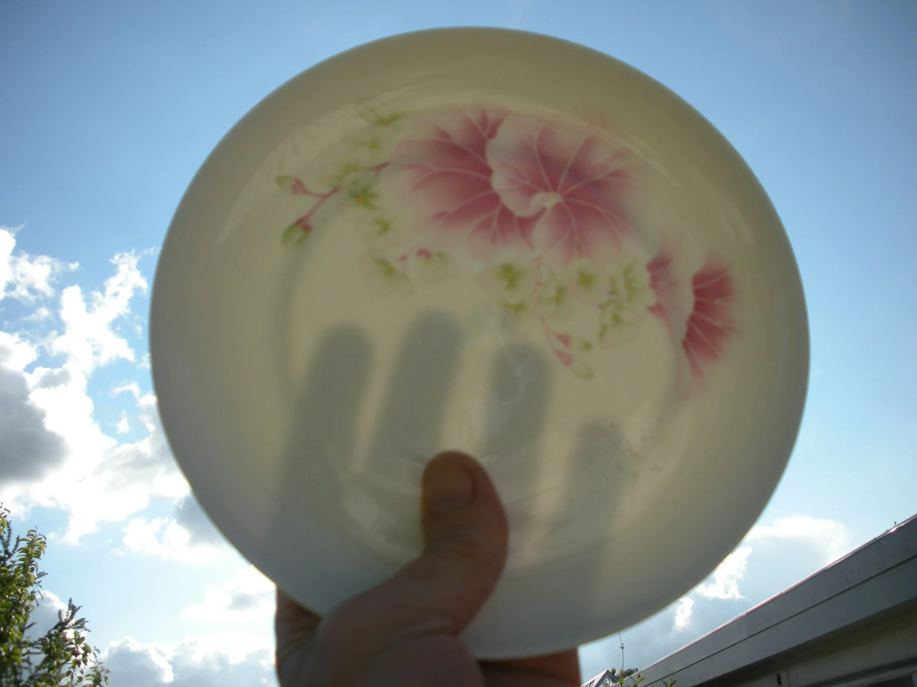 Porcelain translucency test Testing porcelain translucency