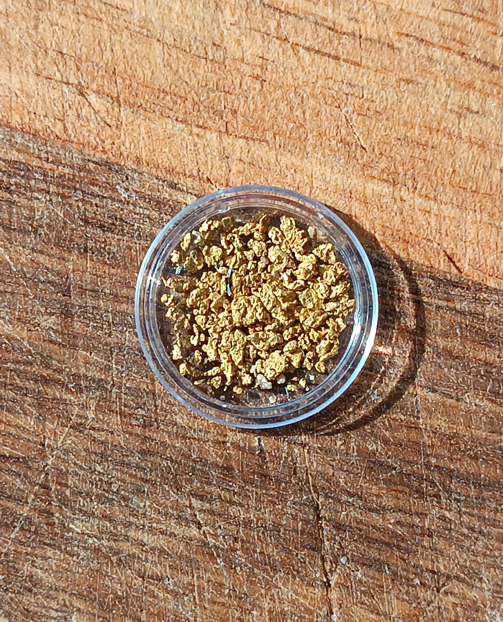 Native river gold from the Topolnitsa River, Sredna Gora, Bulgaria – approximately 1 gram collector specimen