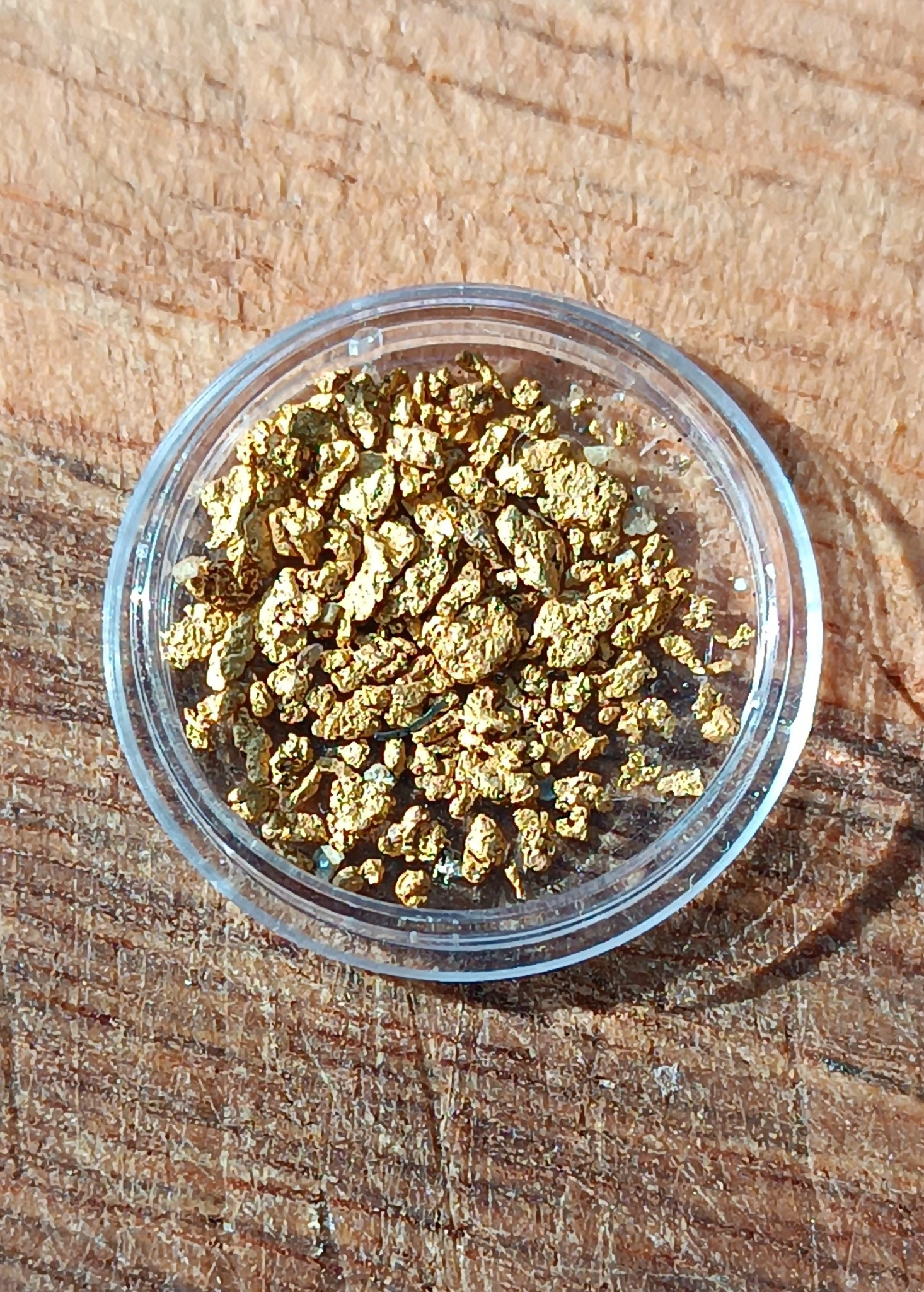 Close-up of natural native river gold flakes from the Topolnitsa River, Sredna Gora, Bulgaria
