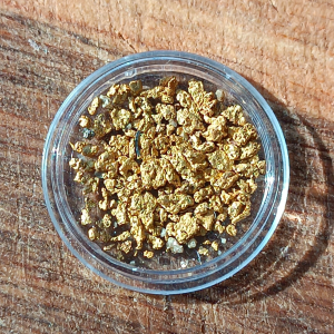 Close-up of native river gold flakes from the Topolnitsa River, Sredna Gora, Bulgaria