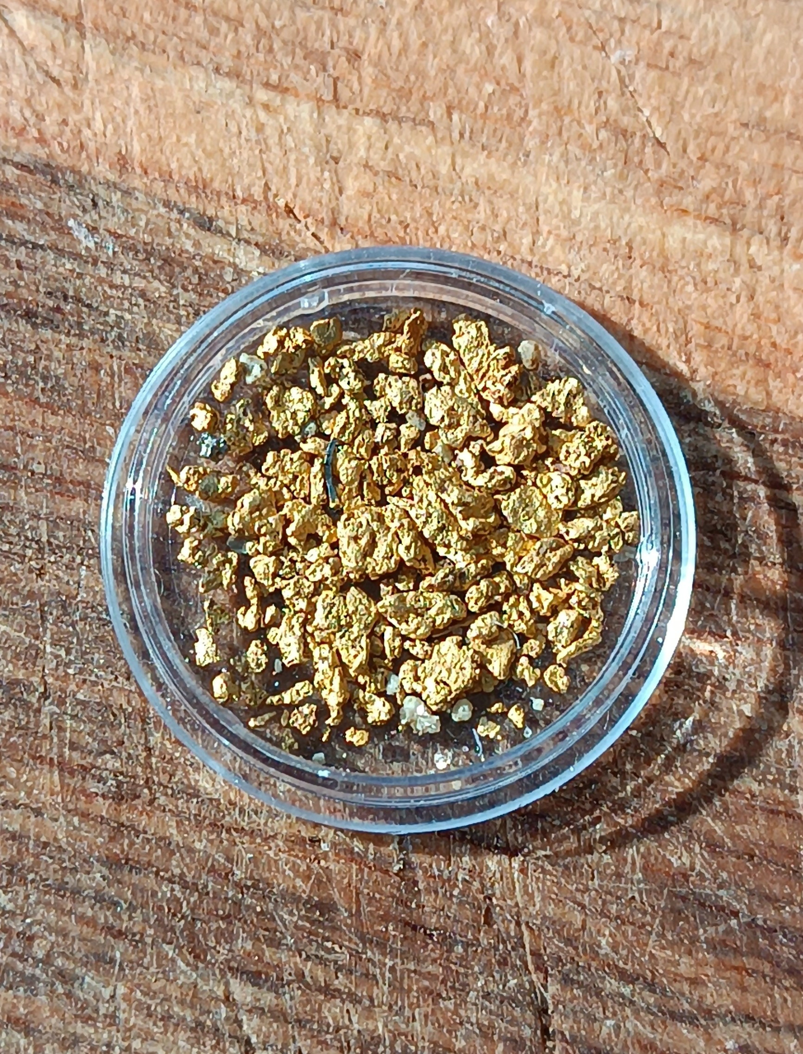 Close-up of native river gold flakes from the Topolnitsa River, Sredna Gora, Bulgaria