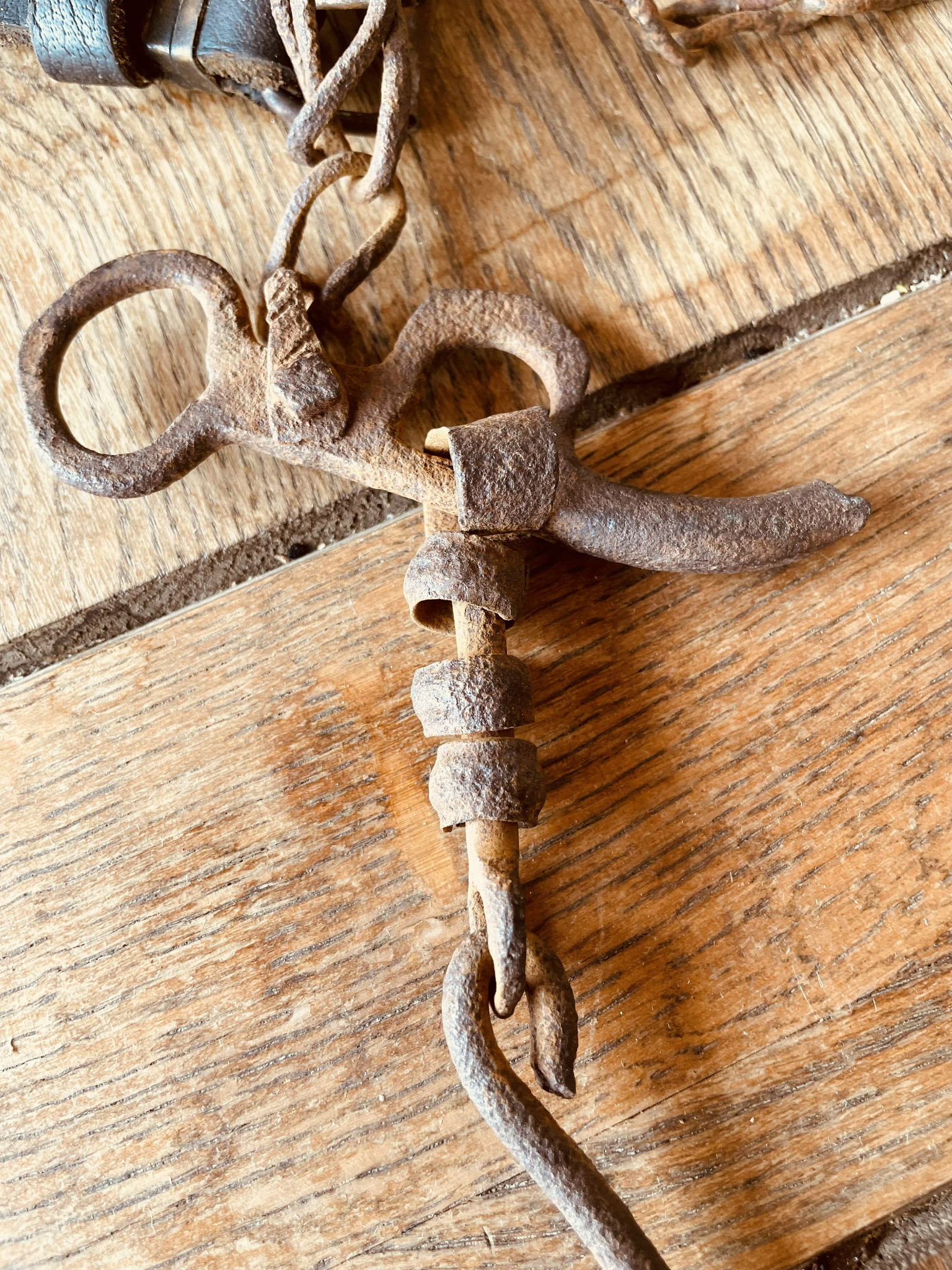 Close-up of an antique Balkan horse tack iron hook, ring and swivel fitting with natural rust and age-related patina
