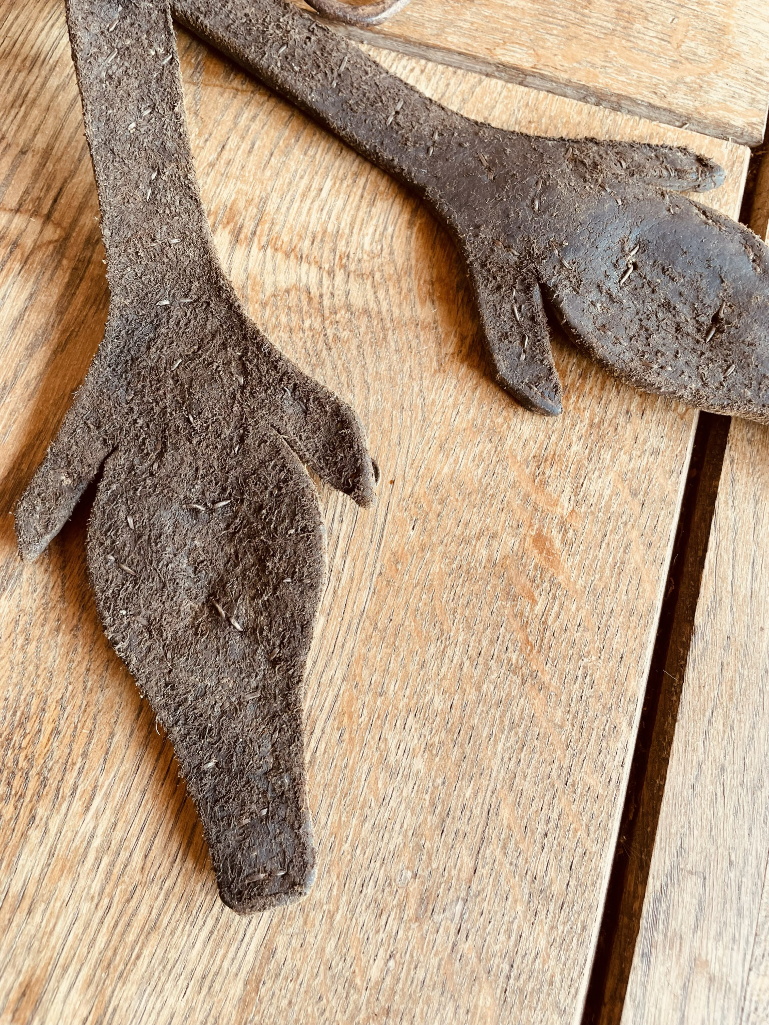Reverse side of antique Balkan leather horse bridle cheekpieces showing original leather surface, stitching and age-related patina