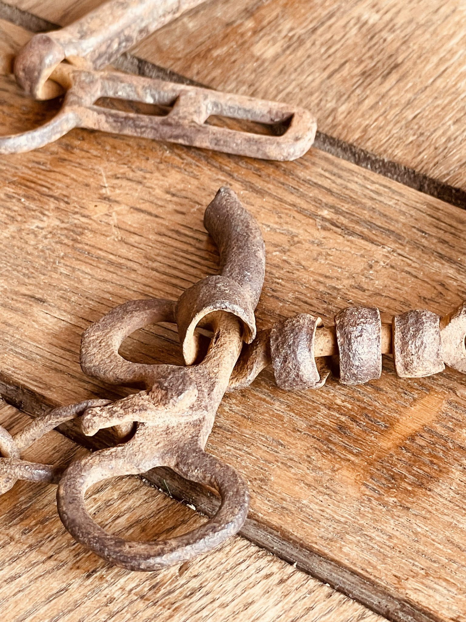 Close-up of antique Balkan horse tack with iron hooks, rings, swivel connectors and natural rust patina