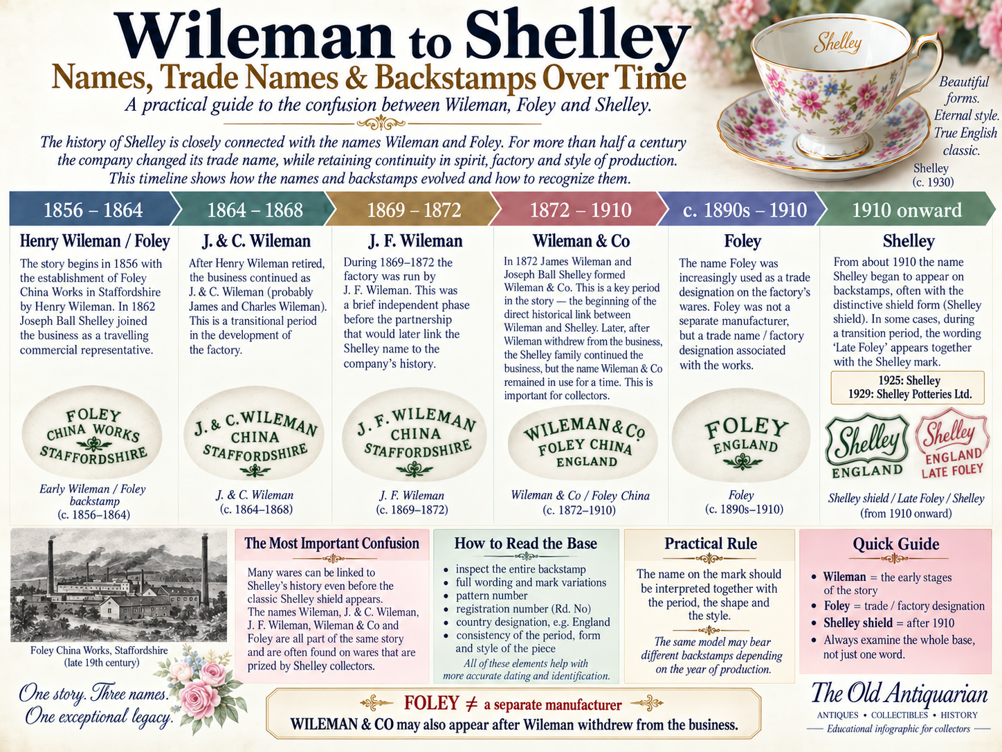 Wileman to Shelley timeline explaining Wileman, Foley and Shelley names and backstamps