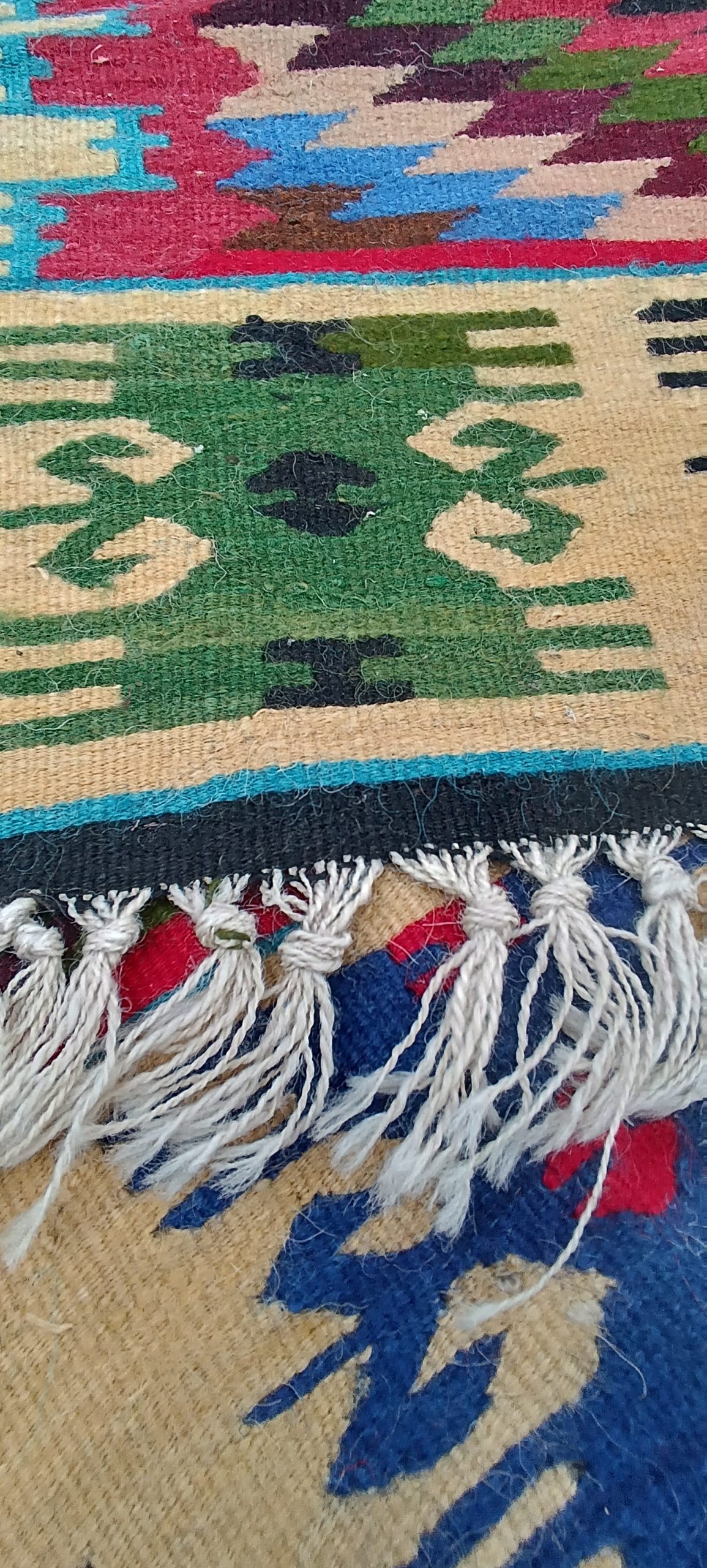Green symmetrical border motif in a folded Chiprovtsi rug with white knotted fringes and blue and red pattern visible beneath.
