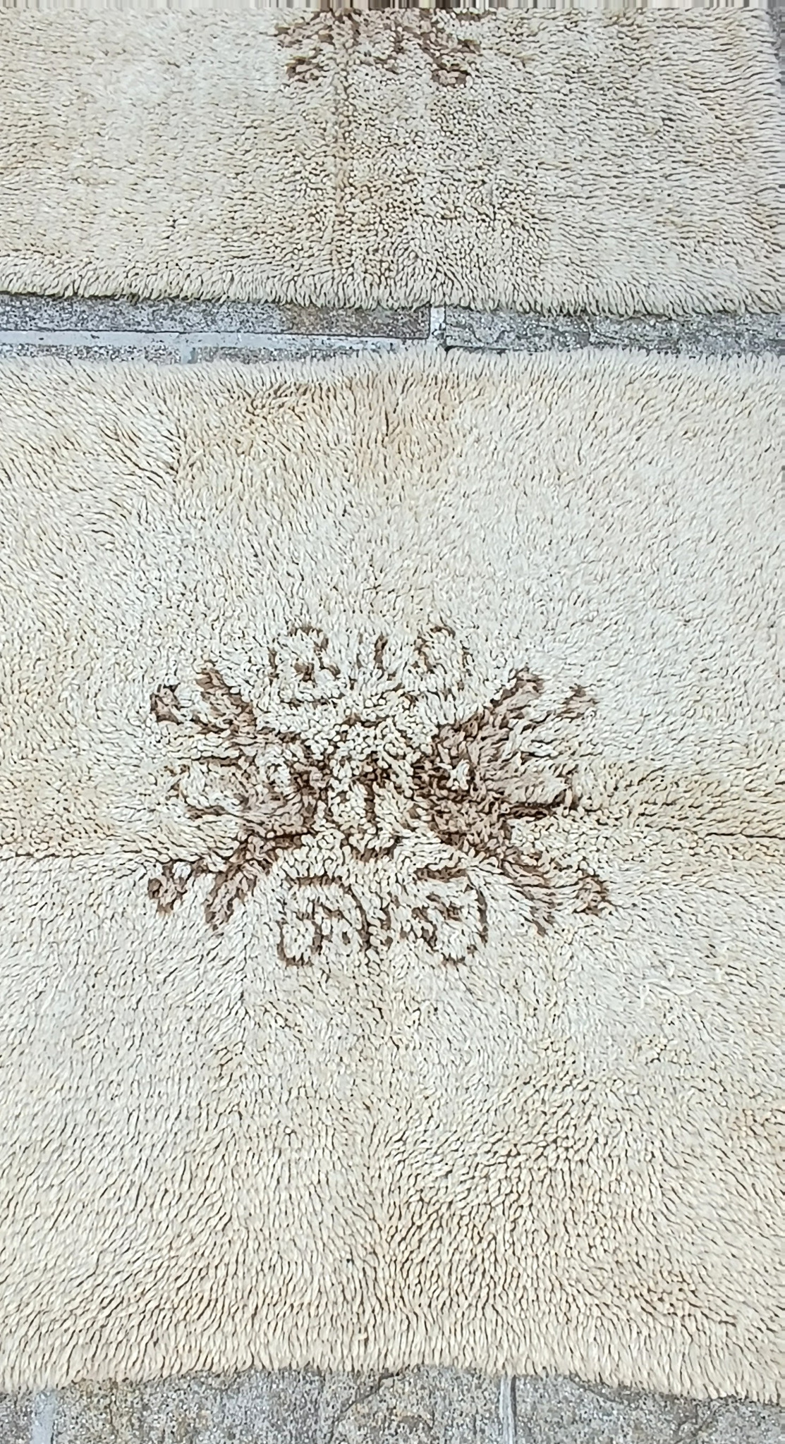 Close-up of the central brown floral motif on a vintage Bulgarian handwoven wool kitenik from the Vidin region, 1970s