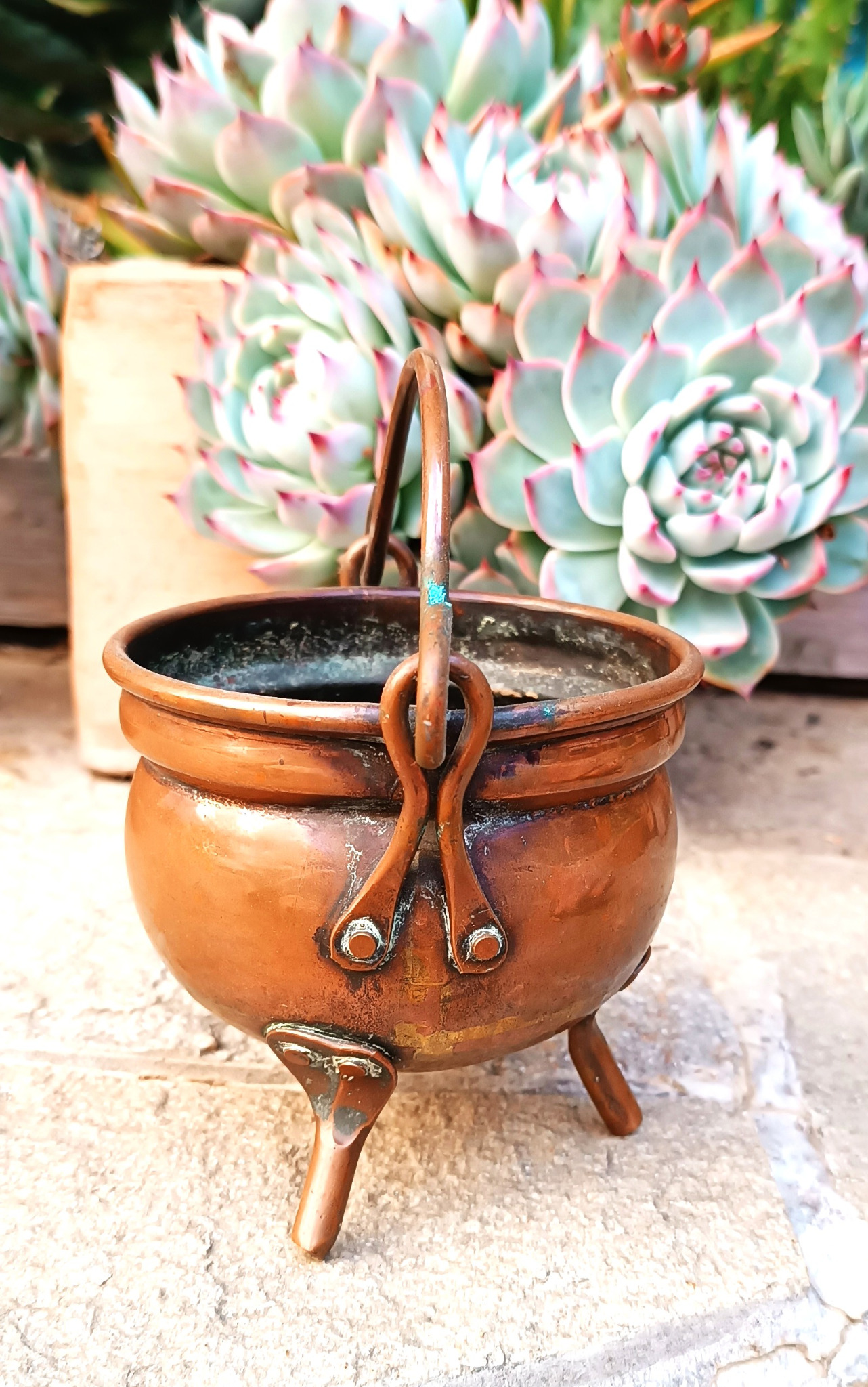Vintage three-legged copper cauldron with rounded body, riveted metal legs, arched swing handle and aged patina, photographed against decorative succulent plants.